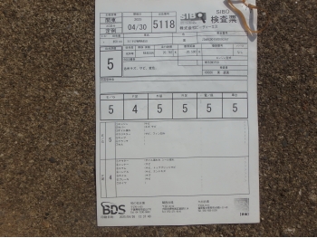     Aprilia Mana850 2008  5