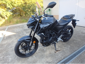 �������� �� ������ �������� Yamaha MT-03A / FZ-03A 2023 ���� 12