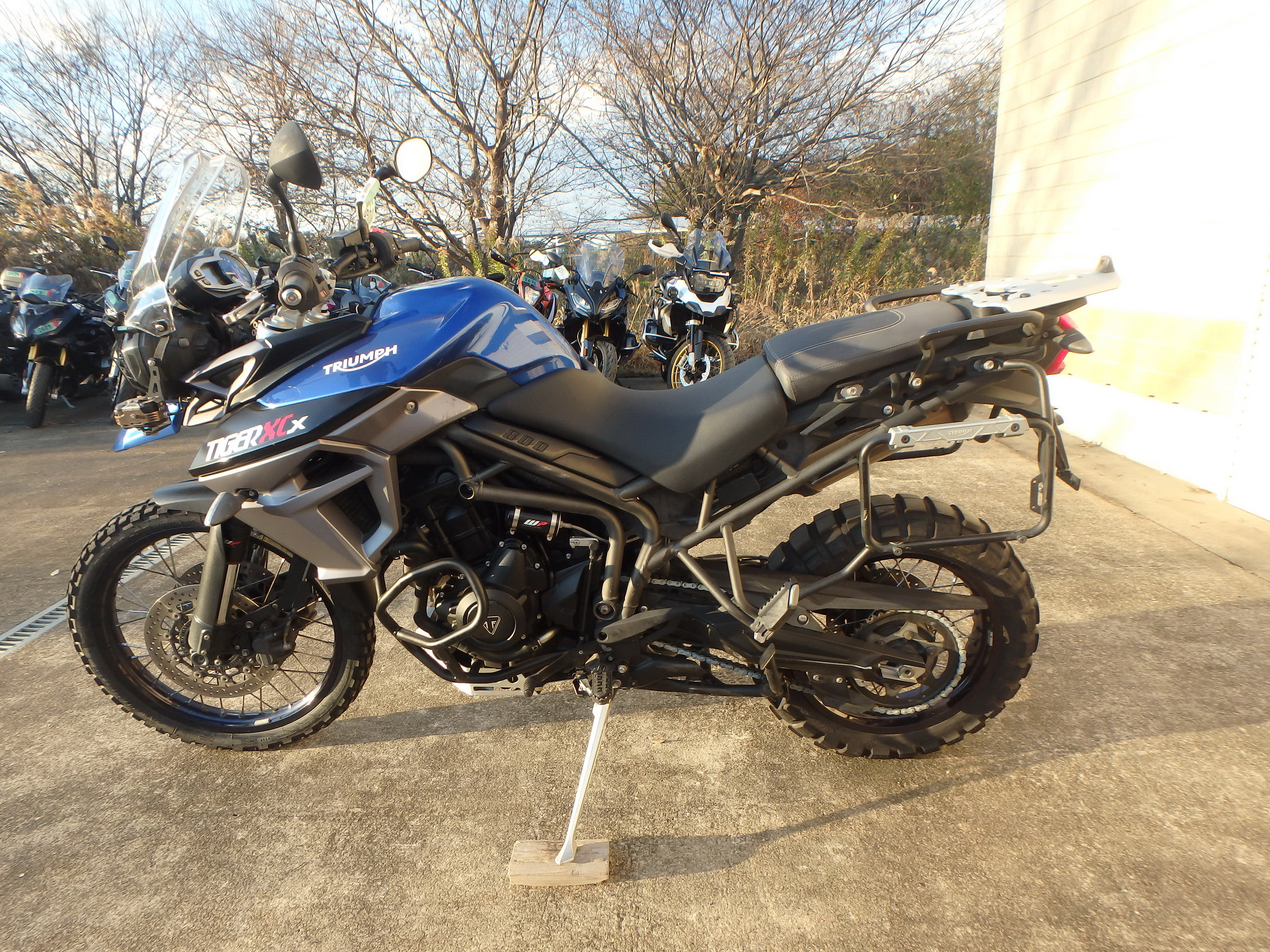 Buy bike Triumph Tiger800XCX 2017 ôîòî 12