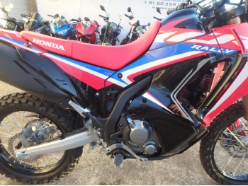 �������� �� ������ �������� Honda CRF250 Rally-2 2024 ���� 19
