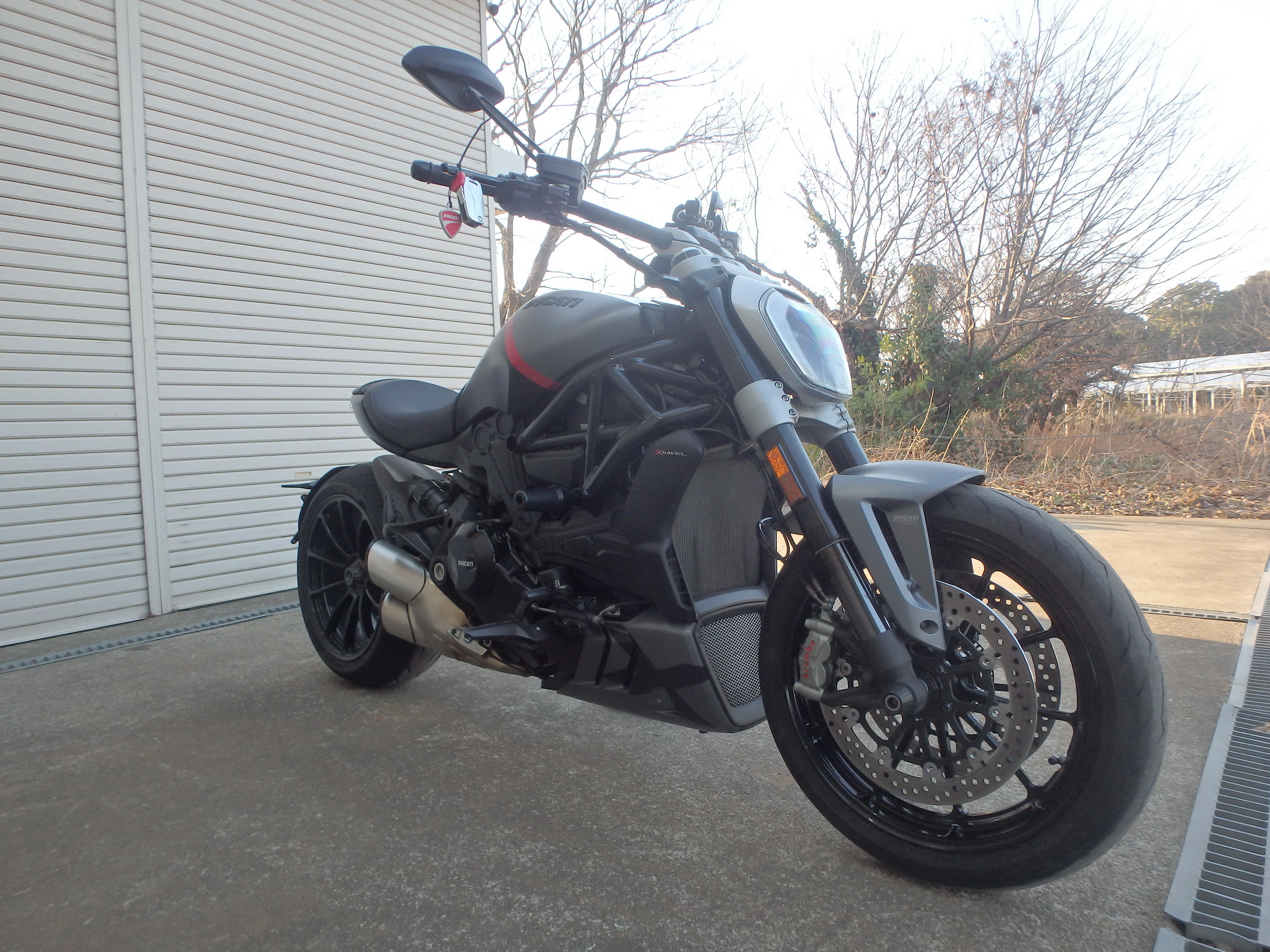 Buy bike Ducati X Diavel Black Star 2021 ôîòî 5