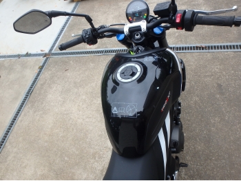 �������� �� ������ �������� Triumph Trident 660 2026 ���� 21