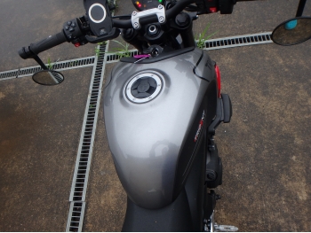 �������� �� ������ �������� Triumph Trident 660 2024 ���� 24