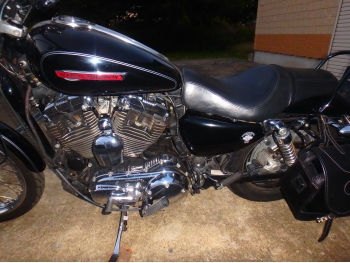Çàêàçàòü èç ßïîíèè ìîòîöèêë Harley Davidson XL1200C-I Sportster Custom 2010 ôîòî 15