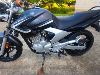 Çàêàçàòü èç ßïîíèè ìîòîöèêë Yamaha YBR250 2010 ôîòî 15