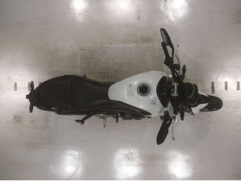 Çàêàçàòü èç ßïîíèè ìîòîöèêë Triumph Trident 660 2021 ôîòî 3