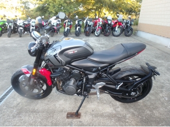 Çàêàçàòü èç ßïîíèè ìîòîöèêë Triumph Trident 660 2021 ôîòî 12