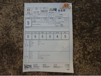 �������� �� ������ �������� KTM 790 Duke 2018 ���� 5